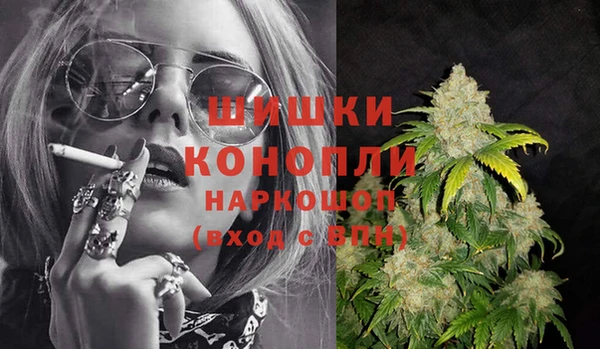 прущие грибы Балабаново