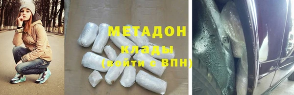 прущие грибы Балабаново