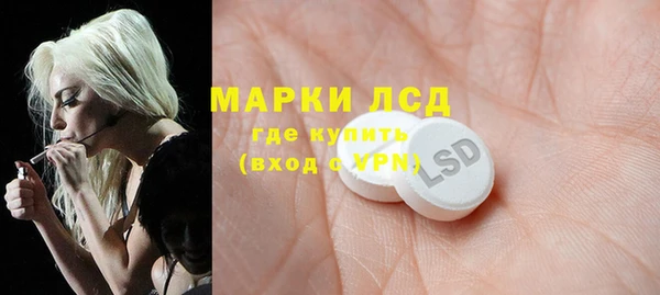 прущие грибы Балабаново