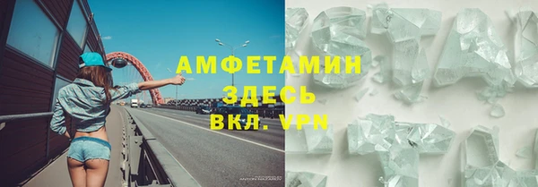 прущие грибы Балабаново