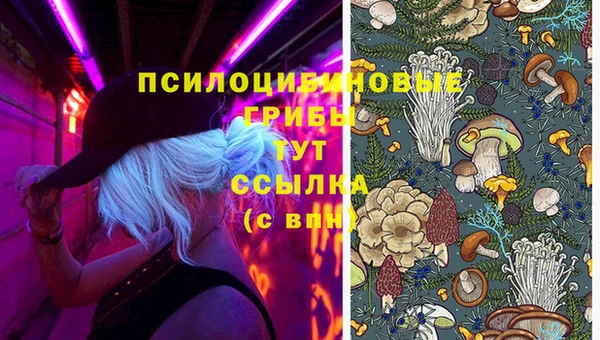 молекула духа Аркадак